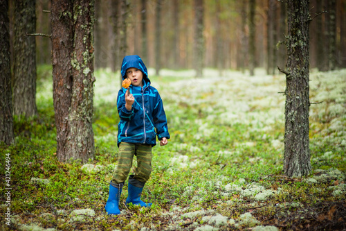 boy walks in the woods  selective focus 