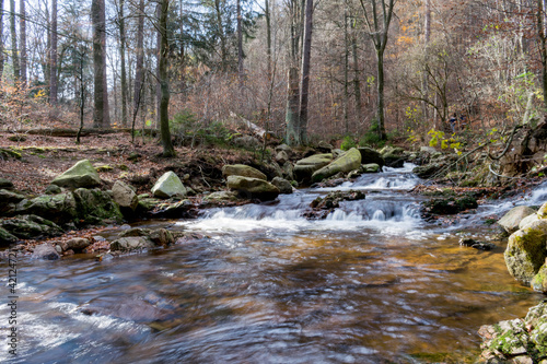 Autumn in Harz montains  Germany