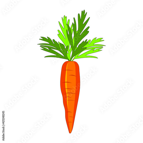 Cute carrot isolated on white background. Vegetables with carotene. Illustration for printing in grocery online stores, children's decor. Vector graphics.