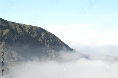 fog over the mountains