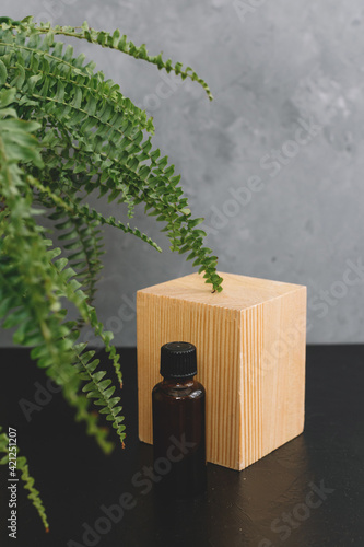 Spa cosmetics in brown glass bottles on natural background of moss,wood, tree bark and fern. Copy space for text.