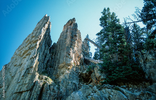 Rock pinnacle with lichen at Milner Pass, USA
