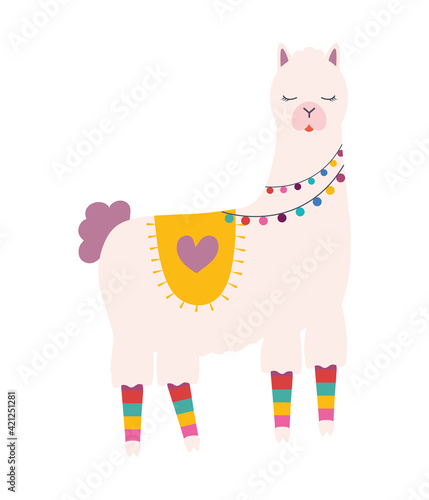 sweet llama standing