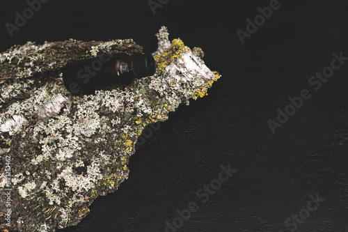 Spa cosmetics in brown glass bottles on natural background of moss,wood, tree bark and fern. Copy space for text.