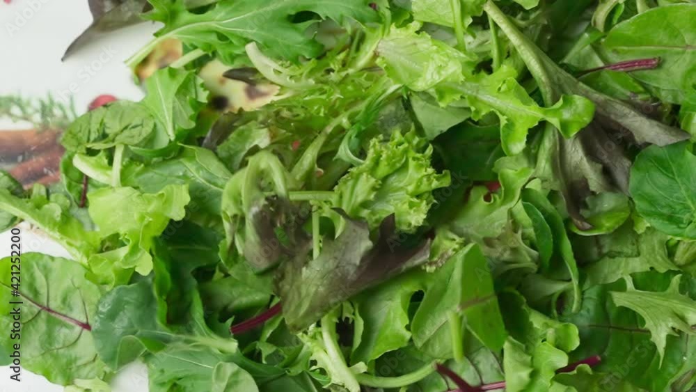 greens and vegetables and herbs.frame healthy food in slow motion greens and vegetables and herbs.frame healthy food in slow motion
