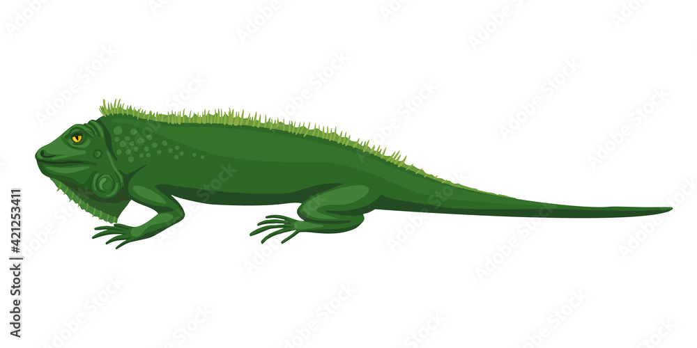Naklejka premium Iguana, green lizard. The animal lies, disdainful eyes, a lazy beast. Fun character illustration, green sleeping iguana. Vector drawing.