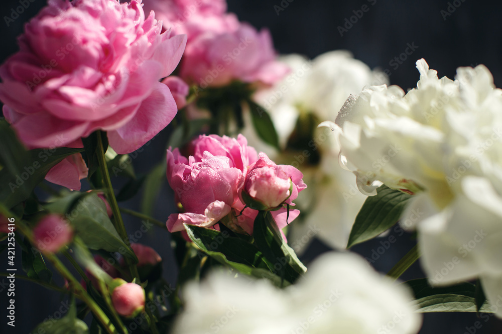 Dreamy flower bouquet of pink natural peonies flowers, spring and summer season bouquet