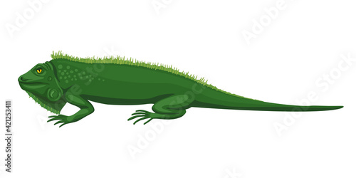 Iguana  green lizard. The animal lies  disdainful eyes  a lazy beast. Fun character illustration  green sleeping iguana. Vector drawing.