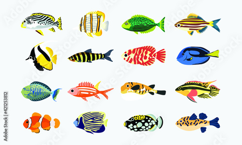 collection set of coral fish illustration. the hand drawing of under the sea life. hand drawn vector animation. adorable and beautiful fishes of marine life.