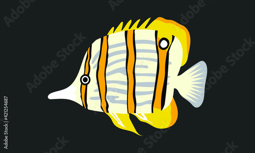chaeotodontidae or butterflyfish. collection set of coral fish illustration. the hand drawing of under the sea life. hand drawn vector animation. adorable and beautiful fishes of marine life.