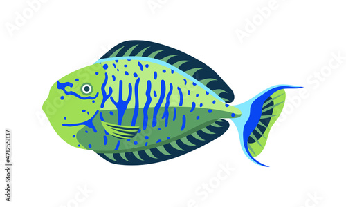 bignose unicornfish or the naso vlamingii. collection set of coral fish illustration. the hand drawing of under the sea life. hand drawn vector animation. adorable and beautiful fishes of marine life.