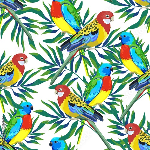 Pattern with beautiful parrots and tropical leaves. tropical Birds background Vector Illustration.