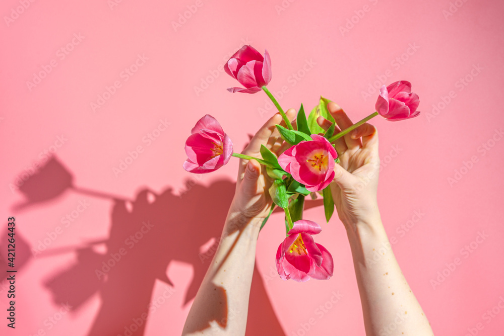 A girl puts pink tulips in a vase, a woman's hands with flowers on a pink background, hard sunlight. Floral spring background.Top view.