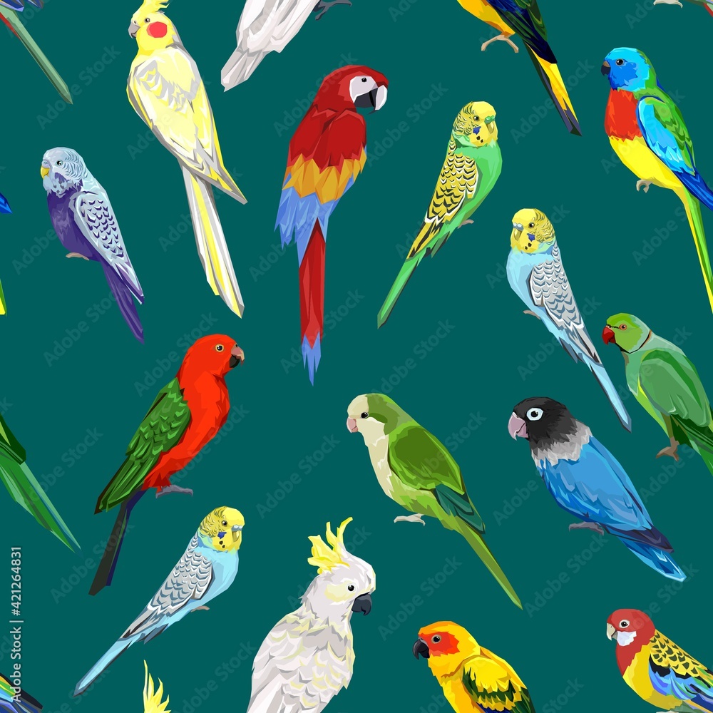 Fototapeta premium Pattern with beautiful parrots. exotic Birds green background Vector Illustration.