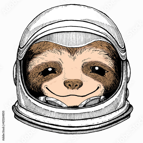Smiling sloth face, vector portrait of sloth. Animal portrait