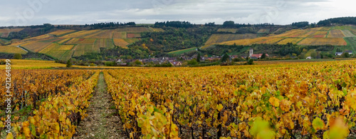 Au loin perdu dans les vignes en automne le village d'Irancy en bourgogne photo