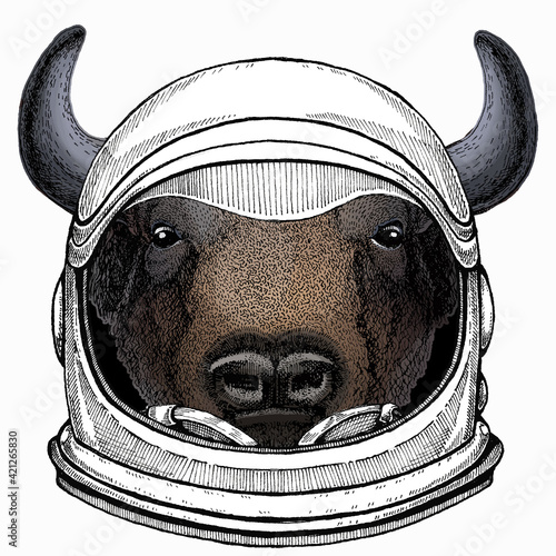 Vector bison head. Portrait of bull, buffalo. Astronaut animal. Vector portrait. Cosmos and Spaceman. Space illustration about travel to the moon. Funny science hand drawn illustration.