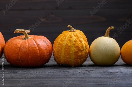 Pumpkins on dark wooden background. Halloween harvesting thanksgiving concept