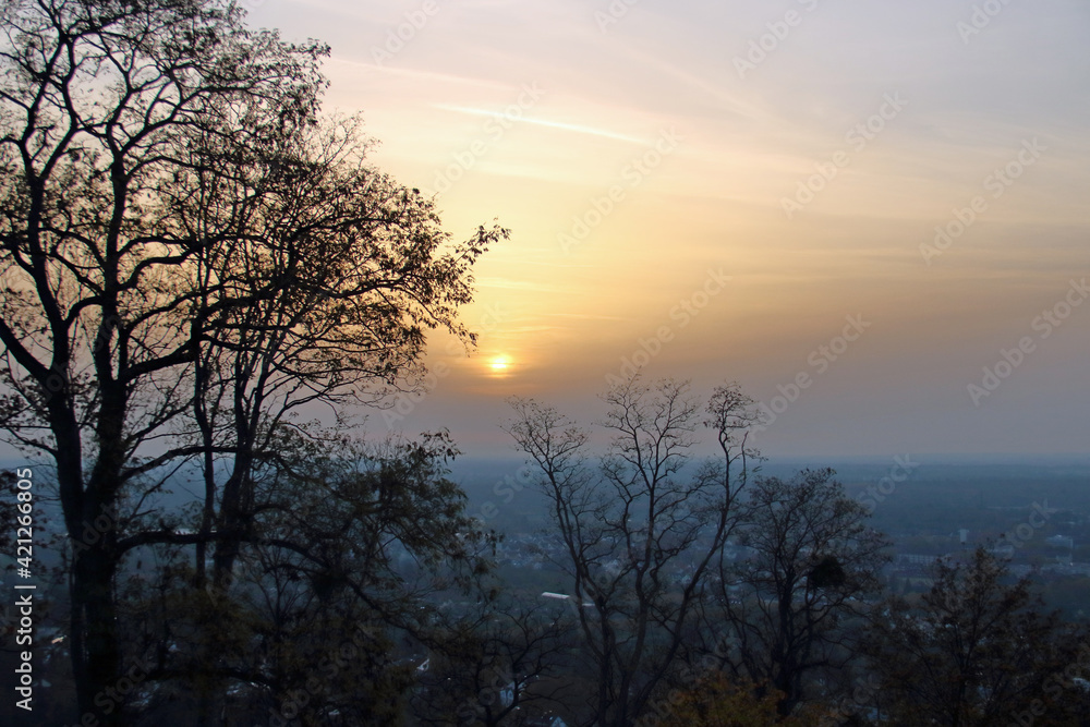 Fototapeta premium Abendsonne