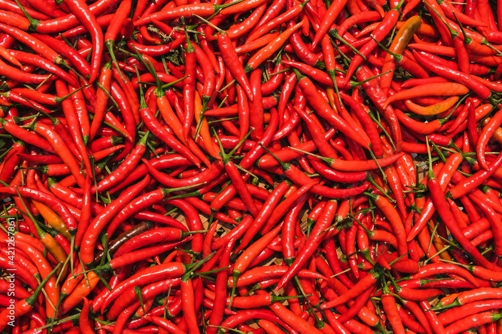 red ripe chilli texture background