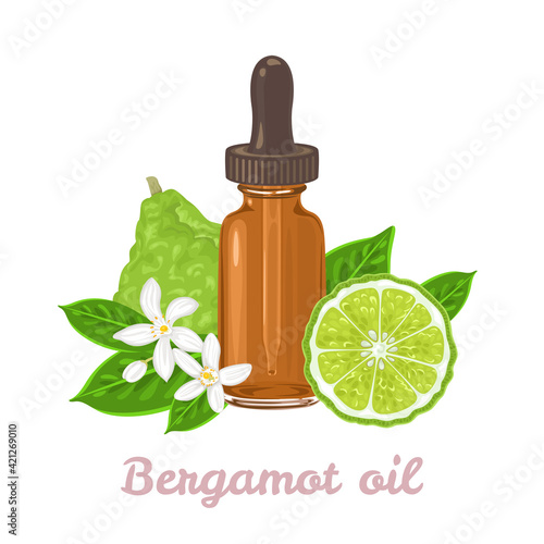 Bergamot essential oil. Amber glass dropper bottle, fragrant flowers, green leaf and citrus fruit isolated on white background. Vector illustration in cartoon flat style.