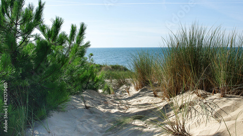 Fototapeta Naklejka Na Ścianę i Meble -  Mer et dunes