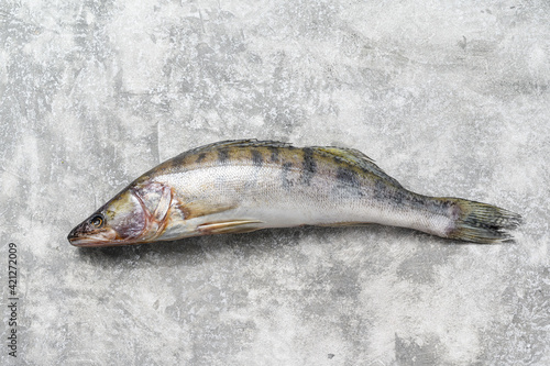 Fresh pike perch, pikeperch. Raw fish. Gray background. Top view