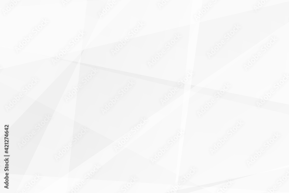 Obraz premium Abstract white and grey on light silver background modern design. Vector illustration EPS 10.