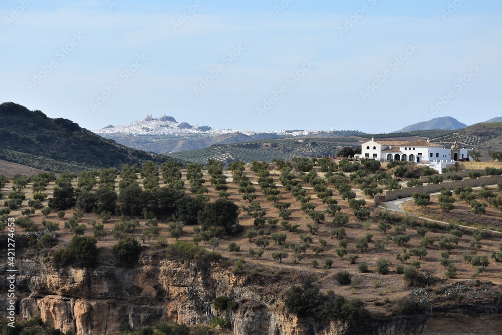 Obraz premium Setenil de la Bodegas