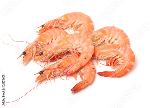 shrimps on a white background