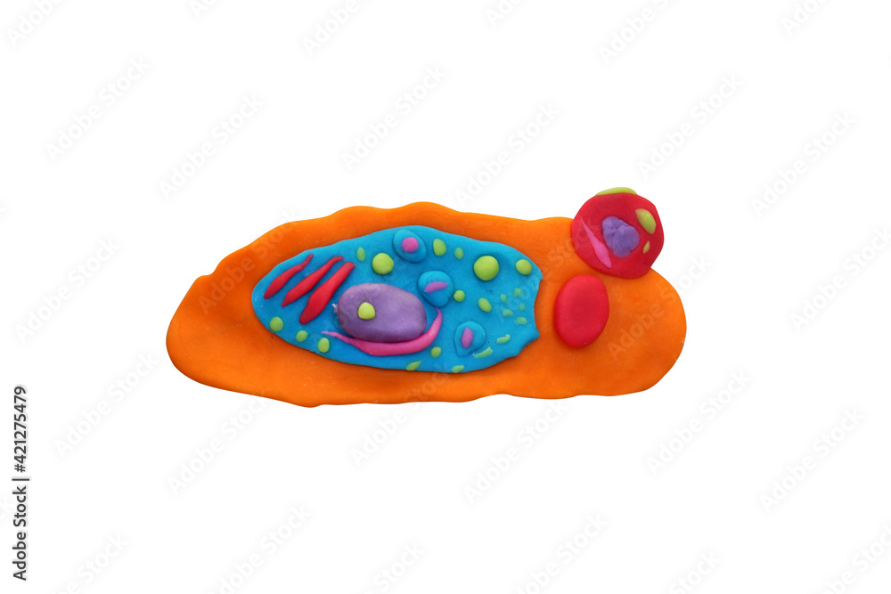 Plasticine Cell sprouting isolated on white background with clipping path. Plasticine Cell sprouting isolated on white background with clipping path.