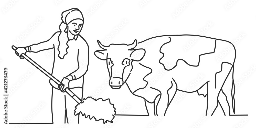 Fototapeta Młoda kobieta pracuje w stajni, karmi krowy sianem. Ręcznie rysowane ilustracji wektorowych.