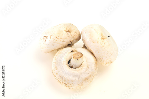 Raw Champignon heap for cooking