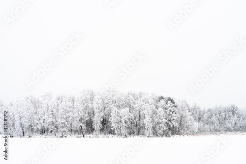 Winterscape