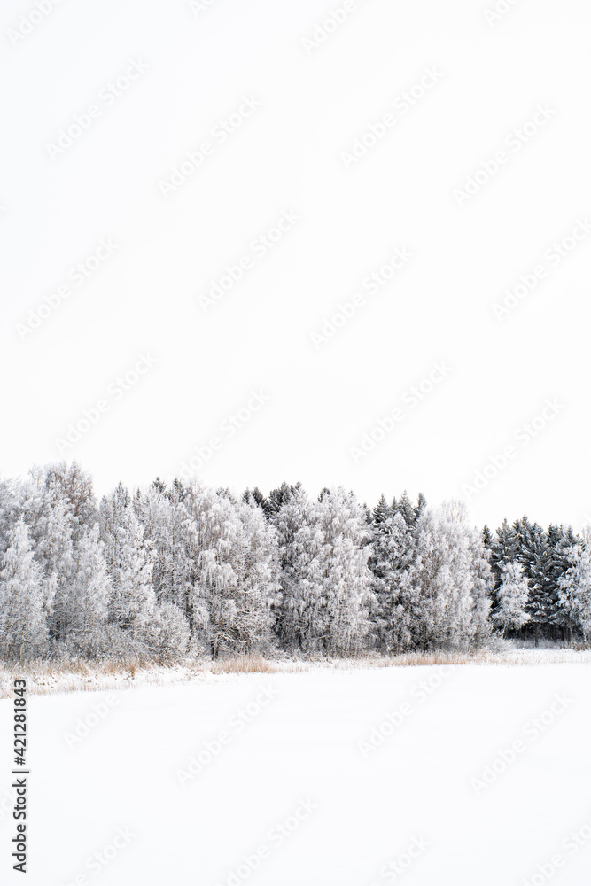 Naklejka premium Winterscape