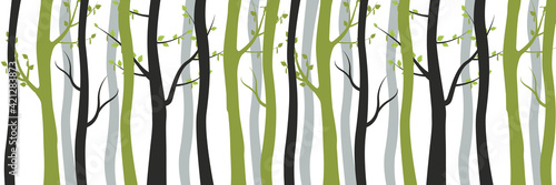 Green and withered black trees in forest background. Slender young birches with blossoming leaves and old dead trunks intertwined between vector itself.