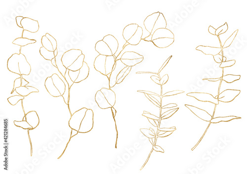 Watercolor floral set of gold eucalyptus branches, linear leaves and seeds. Hand painted silver dollar eucalyptus isolated on white background. Illustration for design, print, fabric or background.