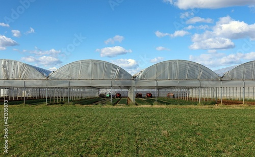 Large greenhouses used for growing vegetables and greens in the wintertime with tractors inside.