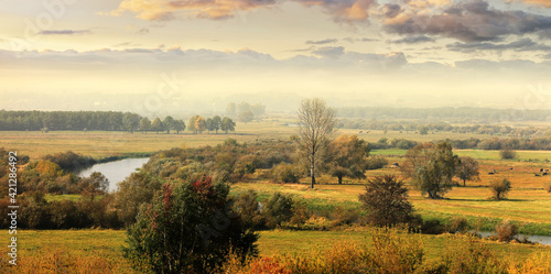 Fototapeta Naklejka Na Ścianę i Meble -  jesień na Podlasiu- rzeka Narew
