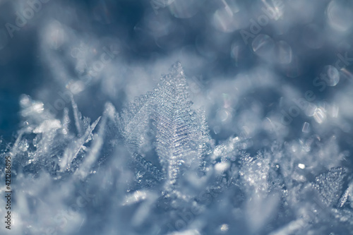 Winter Schnee Flocken Kristalle Makro Nahaufnahme Glanz Hintergrund Sonne Weihnachten Stimmung Wiese Deutschland Idyll Eis kalt blau himmelblau luftig leicht welle