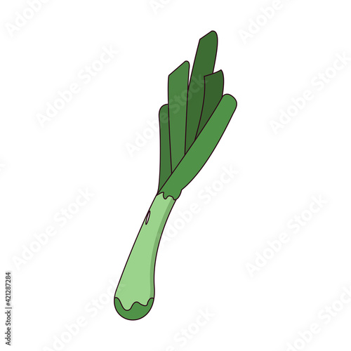 Isolated scallion icon. Vegetable icon - Vector illustration