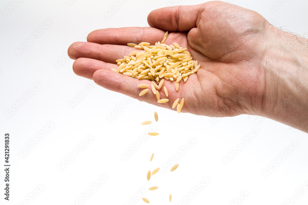 handful of corn, A handful of pasta risoni coming out of the palm of your hand, Italian spaghetti , pasta on the palm of your hand. handful of corn, A handful of pasta risoni coming out of the palm of your hand, Italian spaghetti , pasta on the palm of your hand.