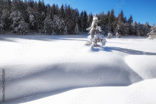 Inverno Aprica
