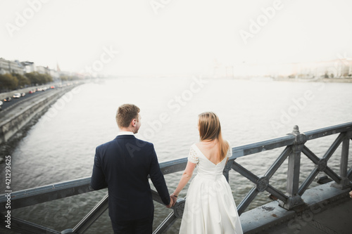 Young wedding couple, beautiful bride with groom portrait on the bridge, summer nature outdoor © olegparylyak