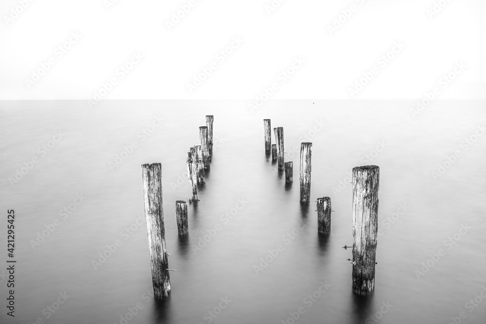 Fototapeta premium Torre del Lago Puccini