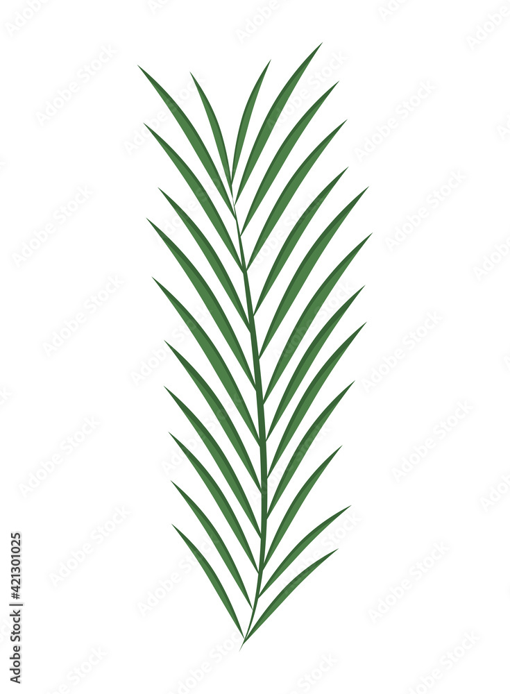Obraz premium cute green plant