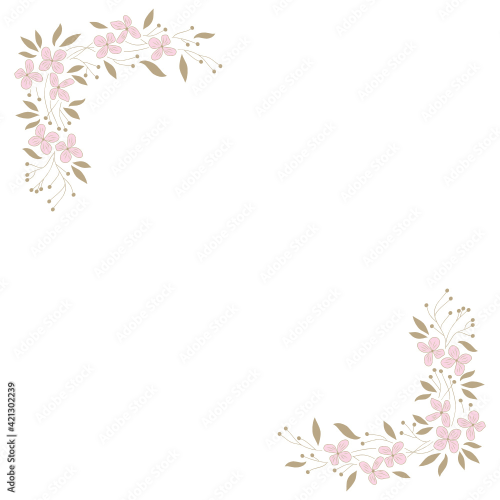 pink flowers on white background