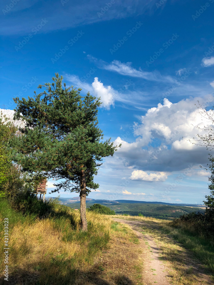 Fototapeta premium Wanderweg
