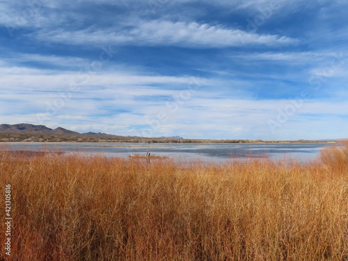 Scenic views of Bosque del Apache National Wildlife Refuge in Socorro County, New Mexico