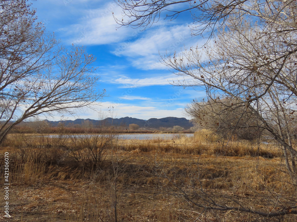 Scenic views of Bosque del Apache National Wildlife Refuge in Socorro County, New Mexico Scenic views of Bosque del Apache National Wildlife Refuge in Socorro County, New Mexico